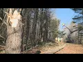 CMP Out-of-state crews near end of clean up after Monday s storm