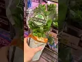 Download Lagu Stop Buying Herbs...Do this Instead - Herb Garden