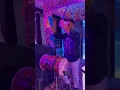Download Lagu Percussion night /dj with percussions percussionist jatin live