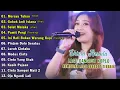 Lagu Dangdut Koplo Terbaru 2025 - Shinta Arsinta Full Album Paling Enak Didengar Saat Bekerja