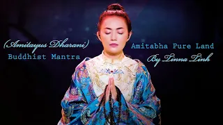 buddhist mantra namo amitabha pure land no ads with lyrics remove negative energy
