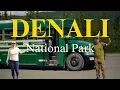 Denali National Park The Ultimate Travel Guide