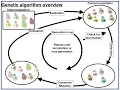 Genetic Algorithm Overview