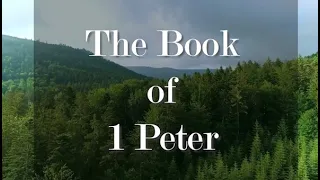 A complete reading of 1 Peter from the New Living Translation