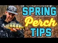 Non-stop Perch Spring Perch shore fishing tips