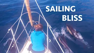 This is Bliss: Offshore Sailing at it’s Finest (Calico Skies Sailing Ep. 31)
