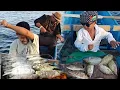 Download Lagu Mancing Disore hari, Banyak ikan yg didapat dengan mudah | Fishing \u0026 BBQ