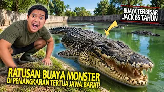 SIDAK PENANGKARAN BUAYA TERTUA DI JABAR! BUAYA DISINI TERNYATA JINAK! WISATA BUAYA BLANAKAN SUBANG!