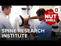 In a Nutshell The Spine Research Institute