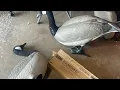 GHG RealMotion Kit install and review ish with flatland goose decoys