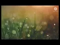 Download Lagu lagu ambon terbaru||Beta berharap itu cuma cinta deng beta