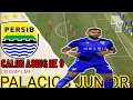Download Lagu skill \u0026 karir‼️Palacios Junior calon pemain asing ke 9 Persib? #liga1indonesia #bobotoh