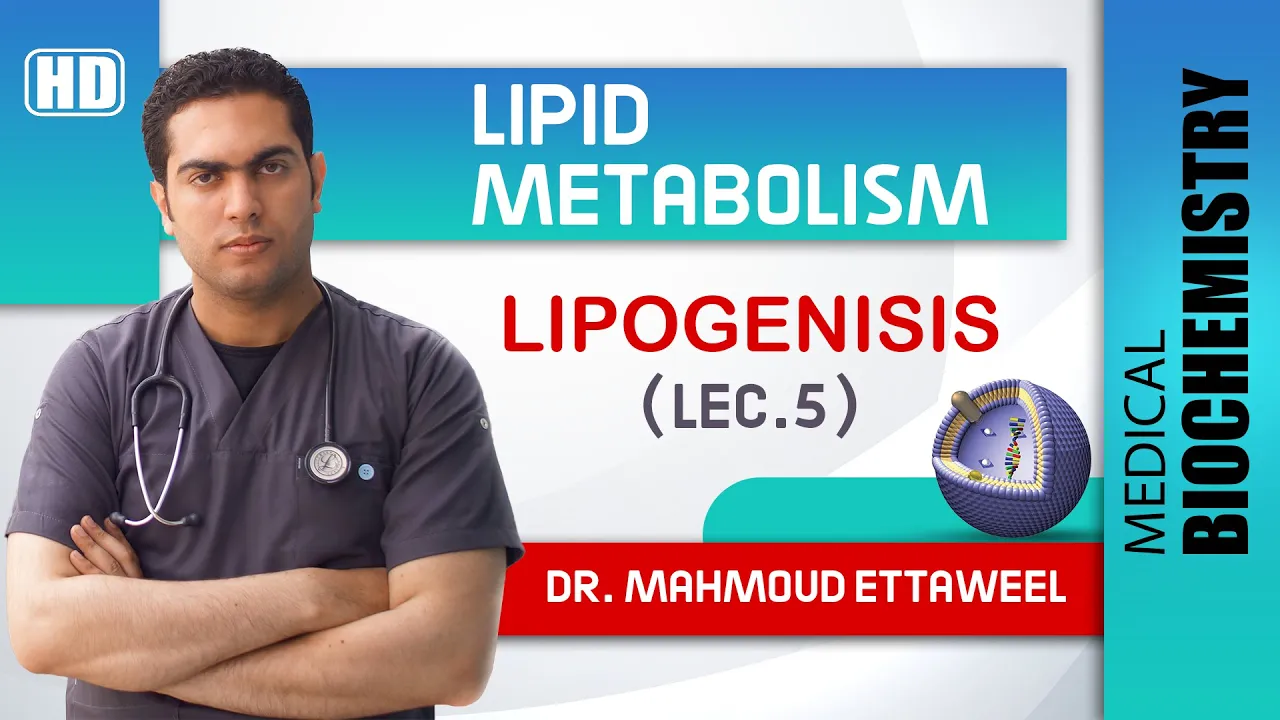 Lipid Met. - lec.5 - FA synthesis & Lipogenesis