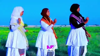 dhaanto cusuub cabdi nuur gafoote official 2026