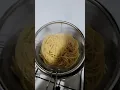 Download Lagu spaghetti goreng pt2
