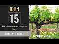 JOHN 15 - Bible Study with FREE NOTES