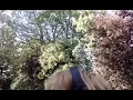 Beabadoobee “Complicated” unreleased demo
