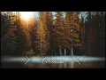 The Book of Colossians - New King James Version NKJV