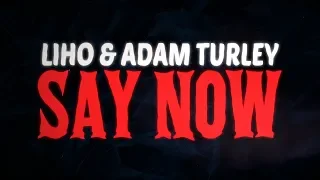 Download LIHO, Adam Turley - Say Now (Official Lyric Video) MP3