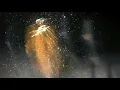 Hammock - Silencia (Full Album, Official Videos)