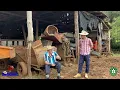 Download Lagu O Dente do Arlindo