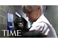 Bonobos One Of Humankind s Closest Relatives What They Can Teach Us TIME