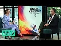 Emily Deschanel On Her Role In TNT s Animal Kingdom