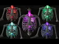 Home Depot Halloween 2023 - 12 ft Skeleton Lighting Kit