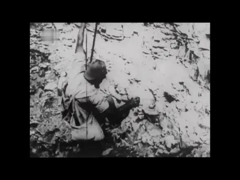The Egg Harvest of Flamborough Head (1908) Cricks & Sharp