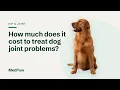 How much does it cost to treat dog joint problems