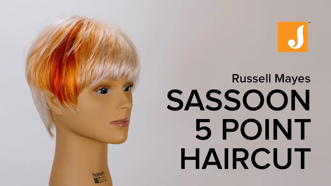 Vidal Sassoon 5 point cut