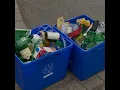 What you need to know about the recycling changes in 2025