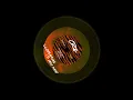 Dennis Cruz - Lloraras (7am Mix)