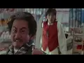Rumble In The Bronx: Kung Fu (Ash)