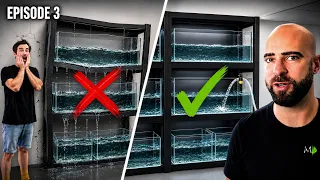 1st Tanks In The New Studio, Will The Racking Hold? |EP03| From Warehouse To Fish Studio