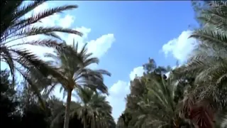 من نورك يارب اهديني حماد هلال دندنها