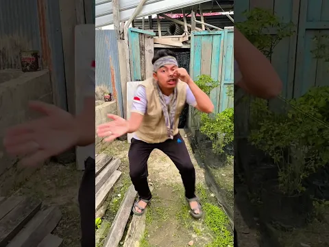 bernyanyi kicau kicau mania !