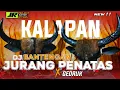 Download Lagu DJ KALAPAN JURANG PENATAS X GEDRUK || BY JR PROJECT OFFICIAL