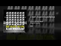 U Don't Know (Vincent Remix) (feat. Wayne Coyne) - Alison Wonderland