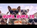 Download Lagu DJ_NUMA_NUMA_YE(SXTN)