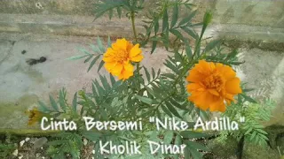 Download NIKE ARDILLA - Cinta Bersemi (Official Lyric Video) MP3