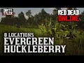 Evergreen Huckleberry locations For Daily Challenges - Red Dead Online RDR2