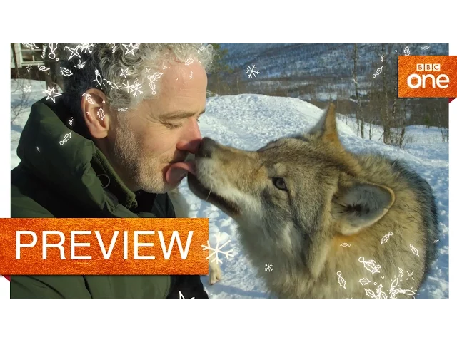 Gordon Buchanan comes face to face with a wolf - Life in the Snow: Preview - BBC One