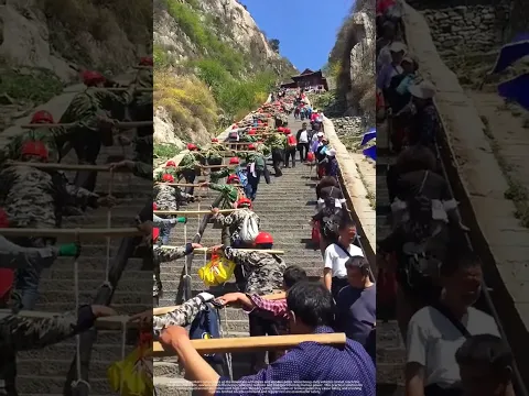 Hundreds of workers haul cables up the mountain with ropes and wooden poles