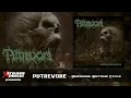 Download Lagu PUTREVORE - Unending Rotting Cycle (Full Album) [2025]