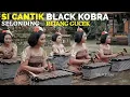 Download Lagu SI CANTIK BLACK KOBRA - Selonding - Tabuh Rejang Gucek