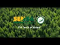 Download Lagu Madeira Sensa Green | Innovative \u0026 sustainable lyocell thread