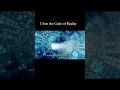 Download Lagu NDE: Ik zag de code van de realiteit