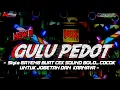 Download Lagu DJ GULU PEDOT - CEK SOUND FULL BASS - STYLE BANTENGAN - NAURA AYUNIDYA PROJECT 