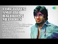 Download Lagu अमिताभ बच्चन: यादगार गीत जुकबॉक्स  |  Lata Mangeshkar Songs  |  Main Hoon Phool Banu